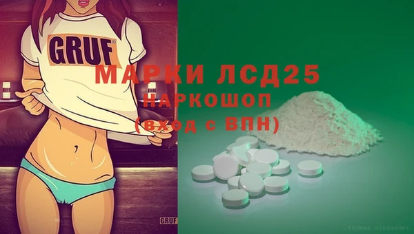 дмт Тайга