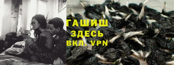 дмт Тайга